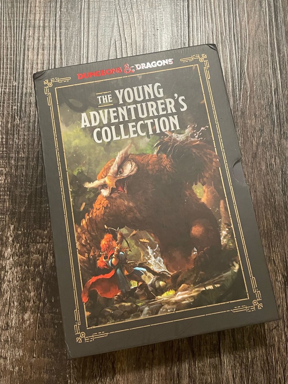 Dungeons and Dragons Young Adventurers Collection
